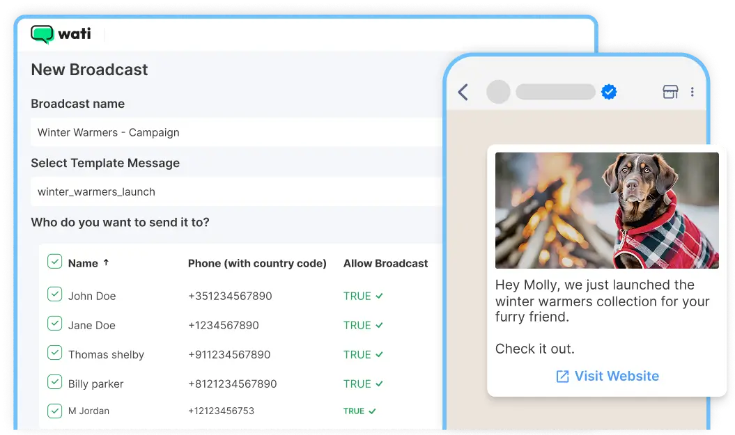 Broadcast & Bulk Messages